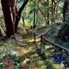 【鎌倉ひとり旅】/📍鎌倉　お寺巡りにランチに観光におすすめスポットをまるっ
