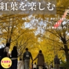 国営昭和記念公園〜紅葉を楽しむ〜　　たまにはゆっくり紅葉見てみない？？
